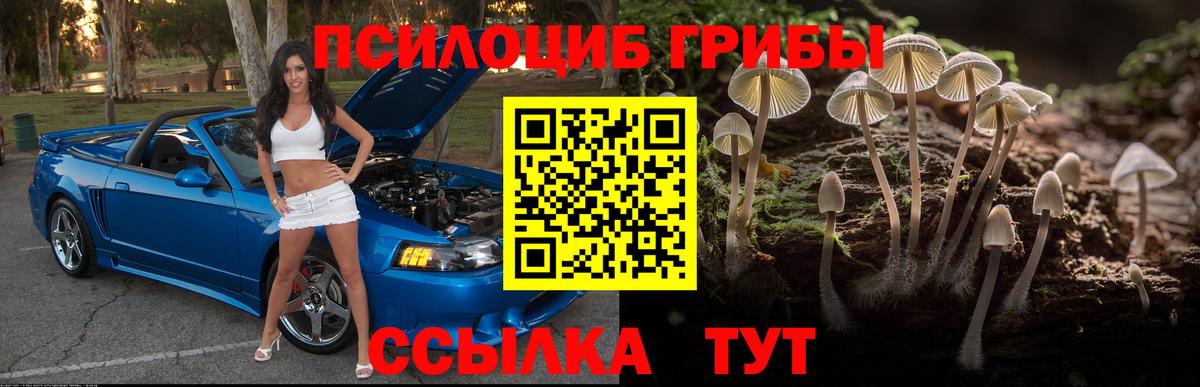 Псилоцибиновые грибы Cubensis Новокуйбышевск